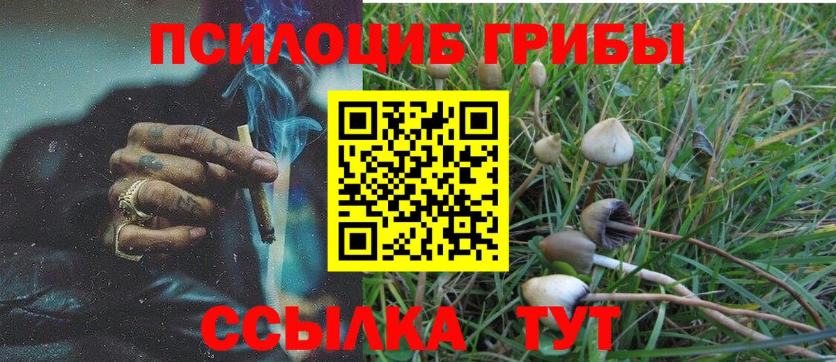 Псилоцибиновые грибы Psilocybine cubensis  Вход с VPN  Обнинск 